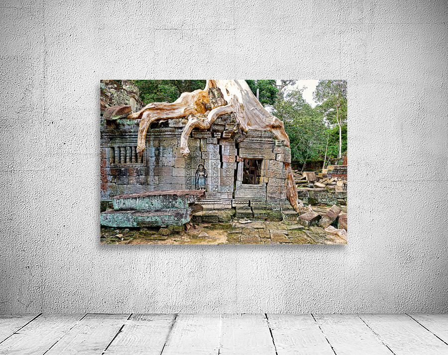 Massive tree roots engulf ancient stone temple ruins. Wall Preview