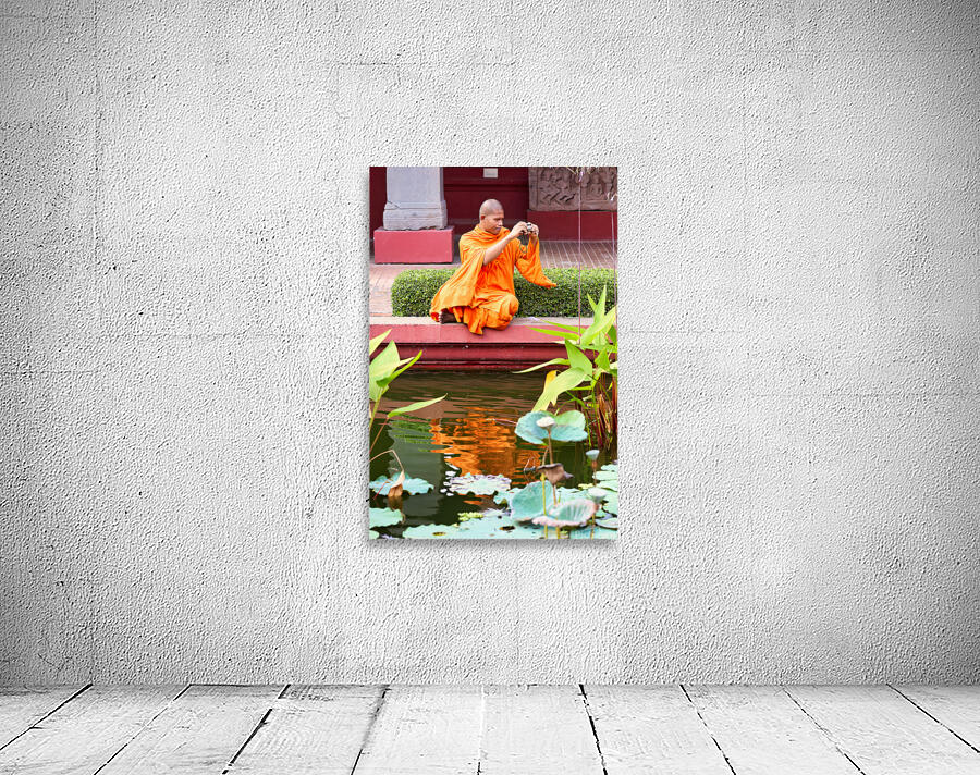 Monk in orange robes takes photo by a lotus pond. Wall Preview