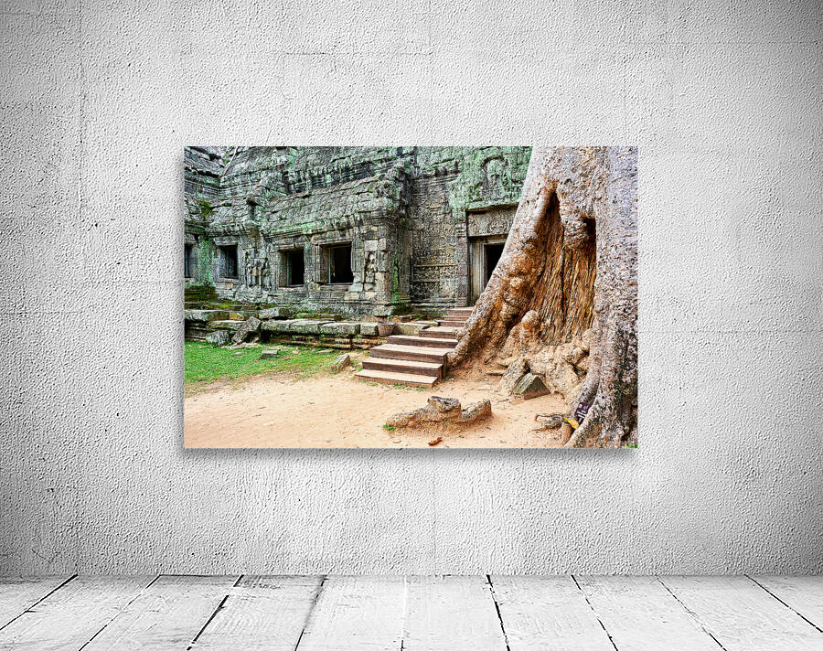 Ancient temple ruins intertwined with giant tree. Wall Preview