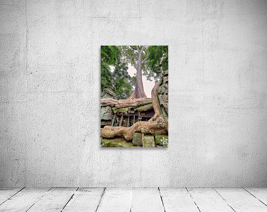 Giant tree roots engulf ancient temple ruins. Wall Preview