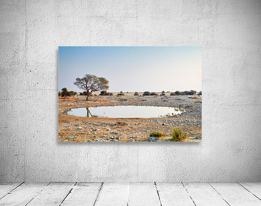 Zebras drink water at a waterhole in Etosha National Park Namibi Wall Preview