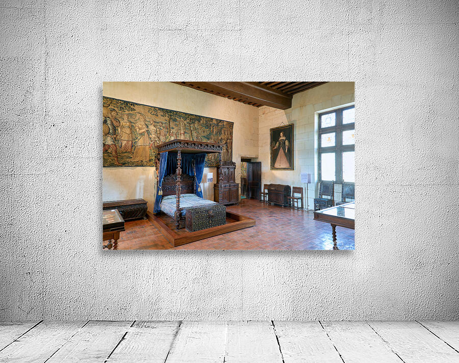 Exploring the interior of Chateau de Chaumont sur Loire in Franc Wall Preview