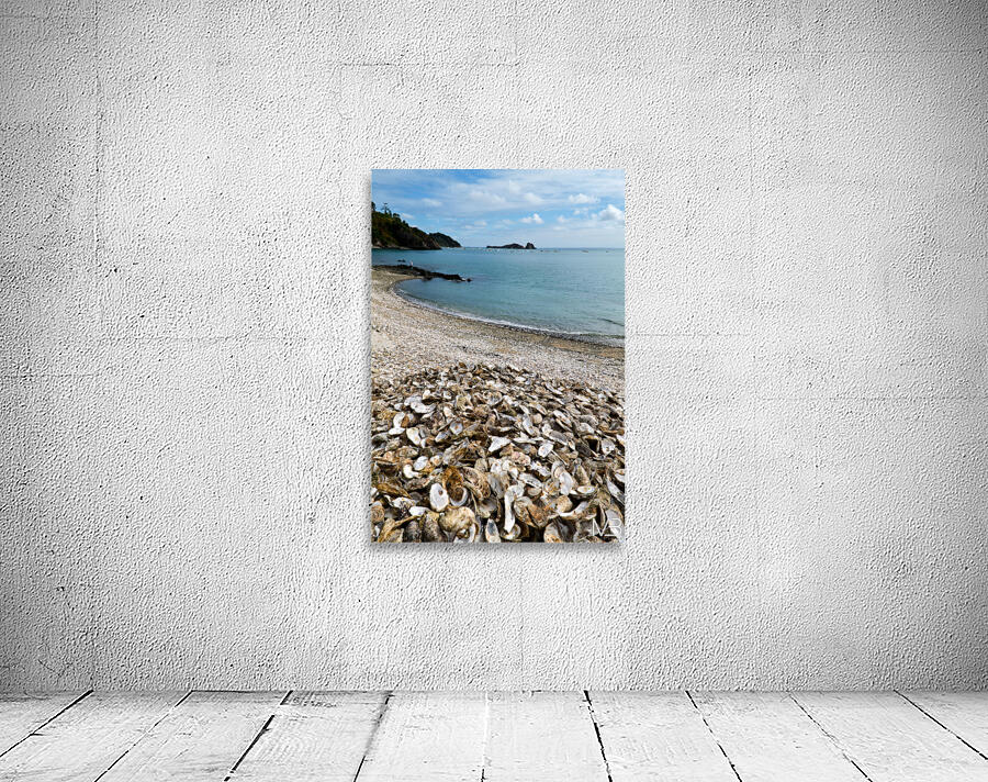 Oyster shells lay on the beach of Cancale Brittany France Wall Preview