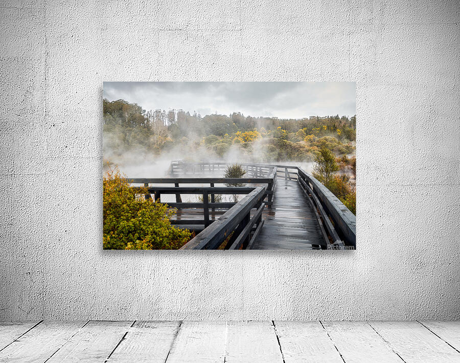 Discover geothermal trails in Whakarewarewa Rotorua Wall Preview