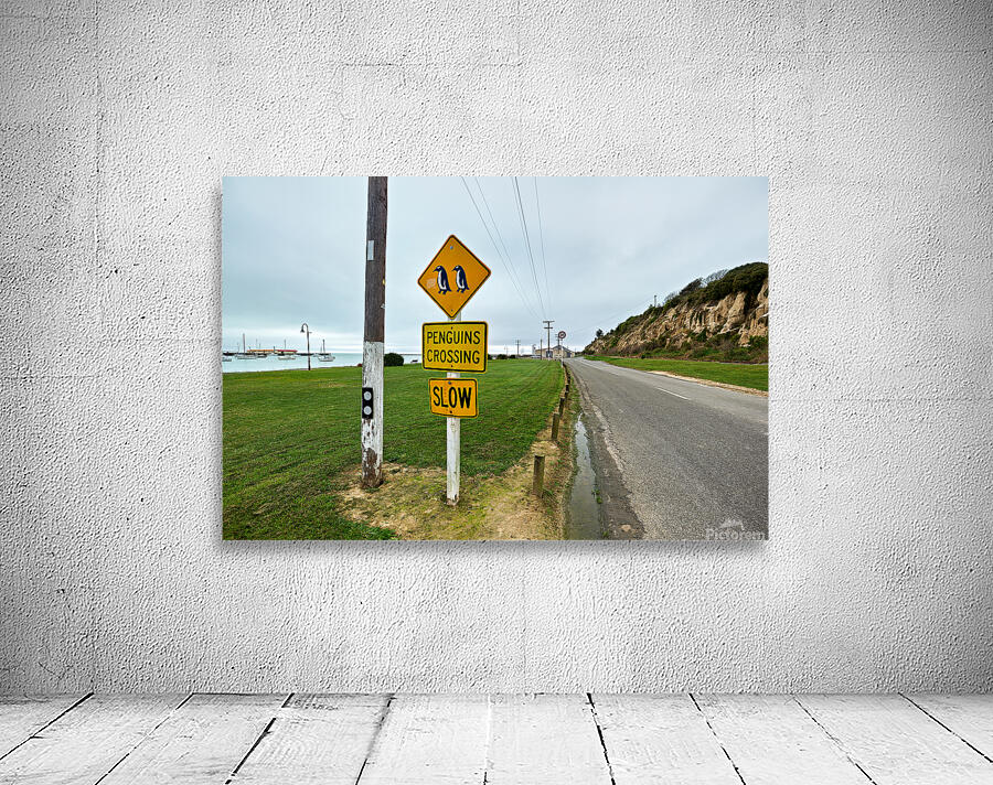 Penguin crossing sign alerts wildlife in Oamaru NZ Wall Preview
