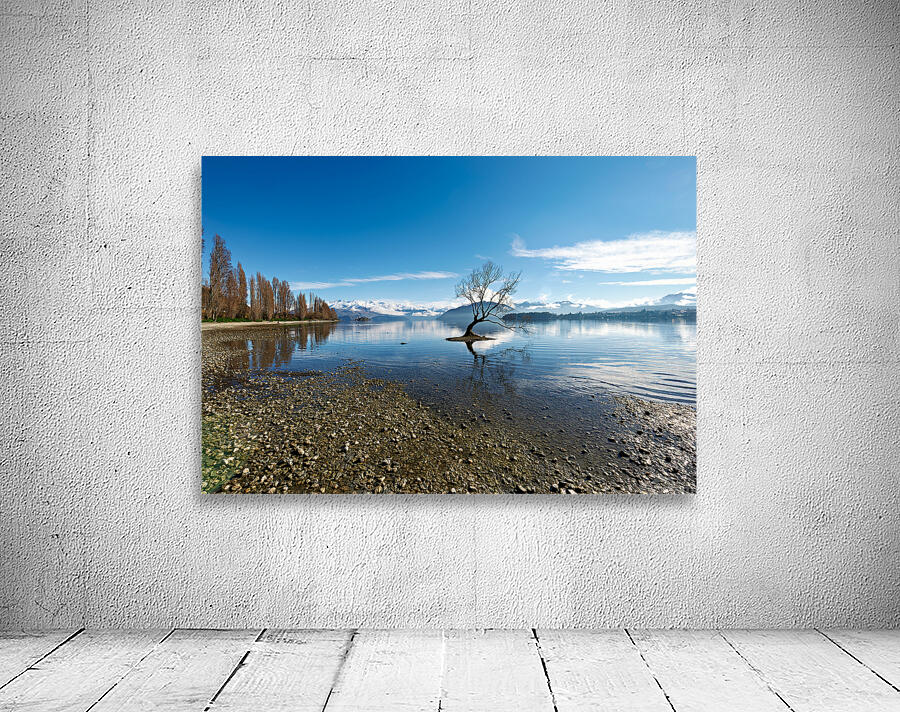 Wanaka Tree in Lake Wanaka on a clear day Otago Wall Preview