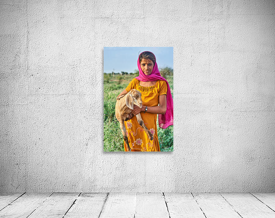 Girl holds goat in Khimsar Rajasthan India during sunny day Wall Preview