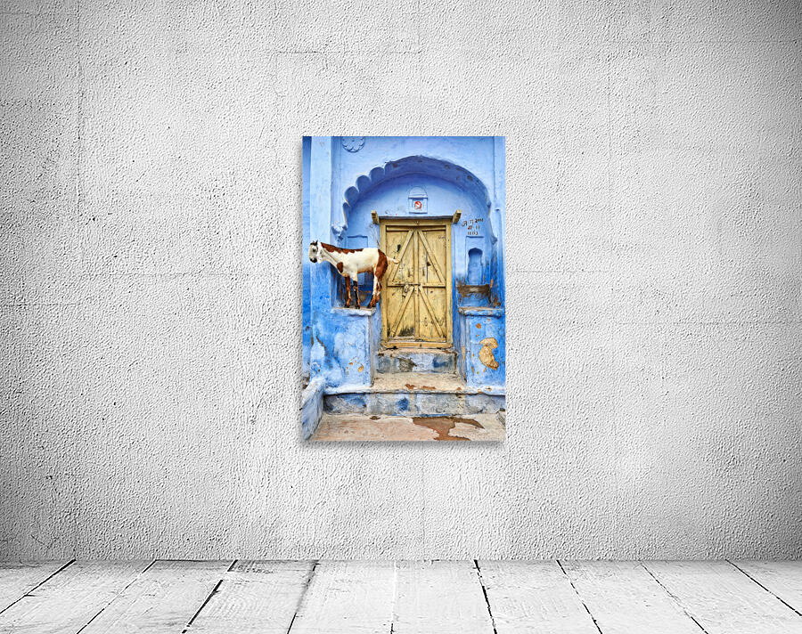 Goat standing on a wall by a wooden door in Bundi Rajasthan Wall Preview