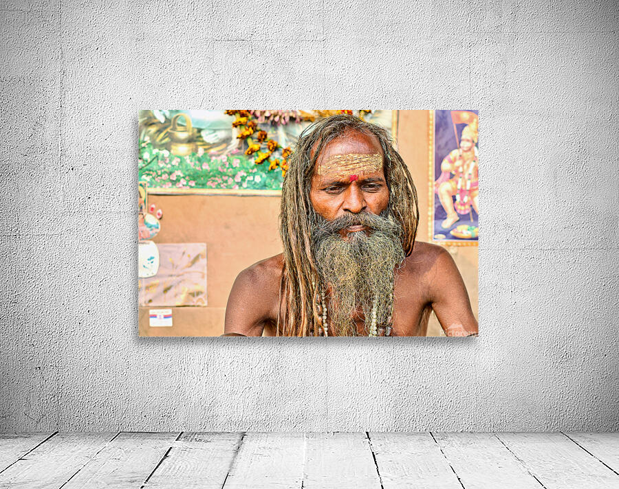 Sadhu in Varanasi Uttar Pradesh with long hair and beard Wall Preview