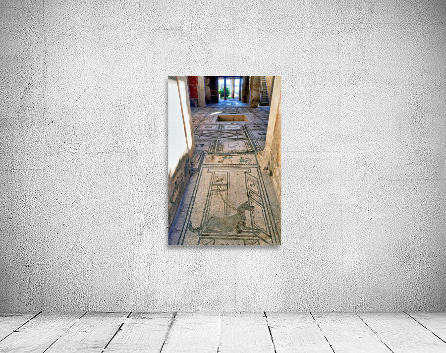 Mosaic floor in Pompeii reveals Roman art and ancient history Wall Preview