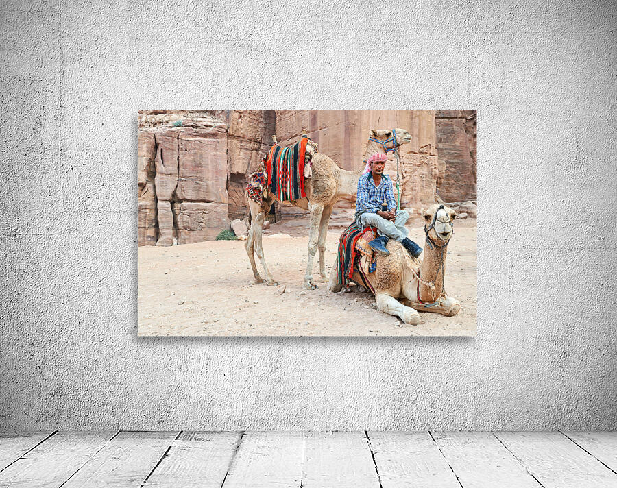 Camels wait for tourists at Petra archaeological site in Jordan Wall Preview