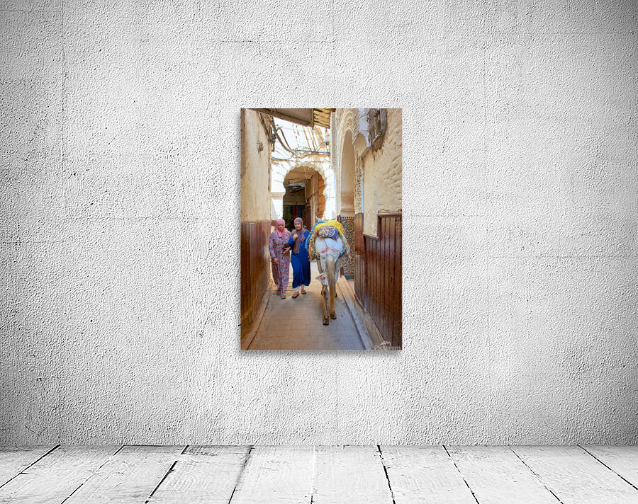 Women walking with donkey in narrow alley of Fez Medina Wall Preview