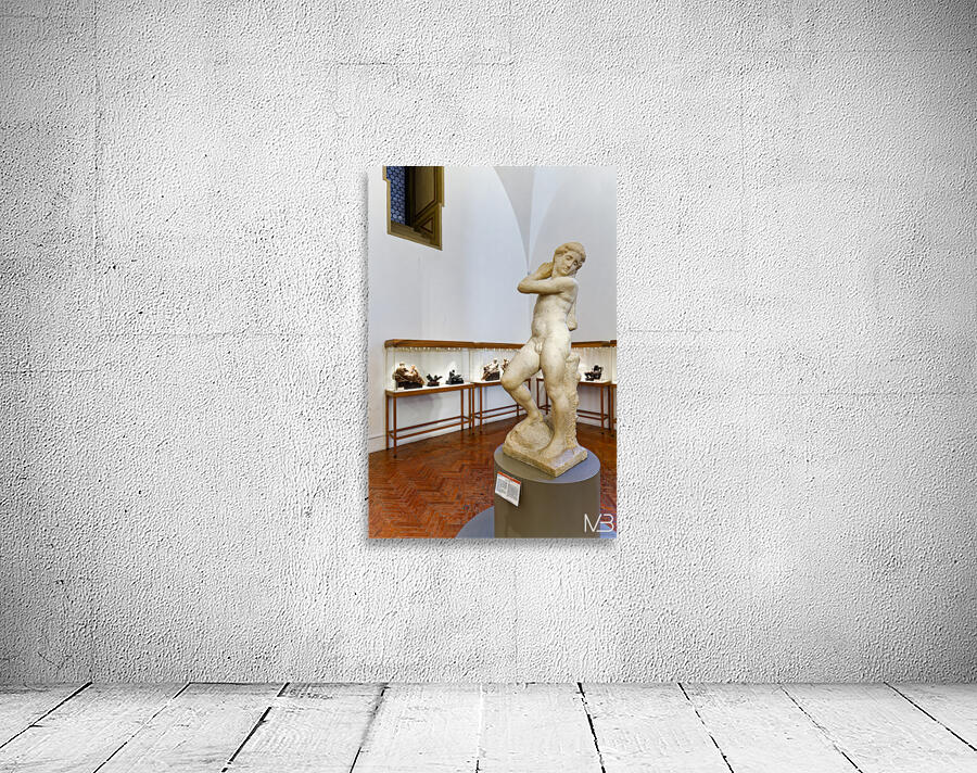 Michelangelos David Apollo in Museo Nazionale del Bargello Flo Wall Preview