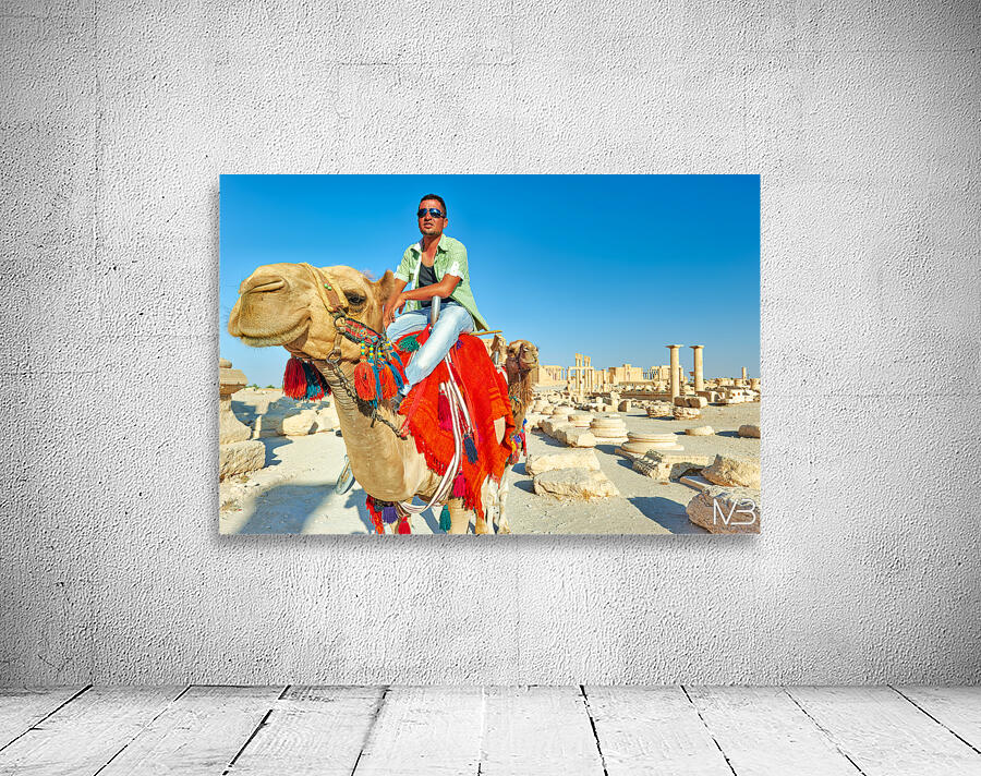 Camel driver in ancient Palmyra leading a tourist ride Wall Preview
