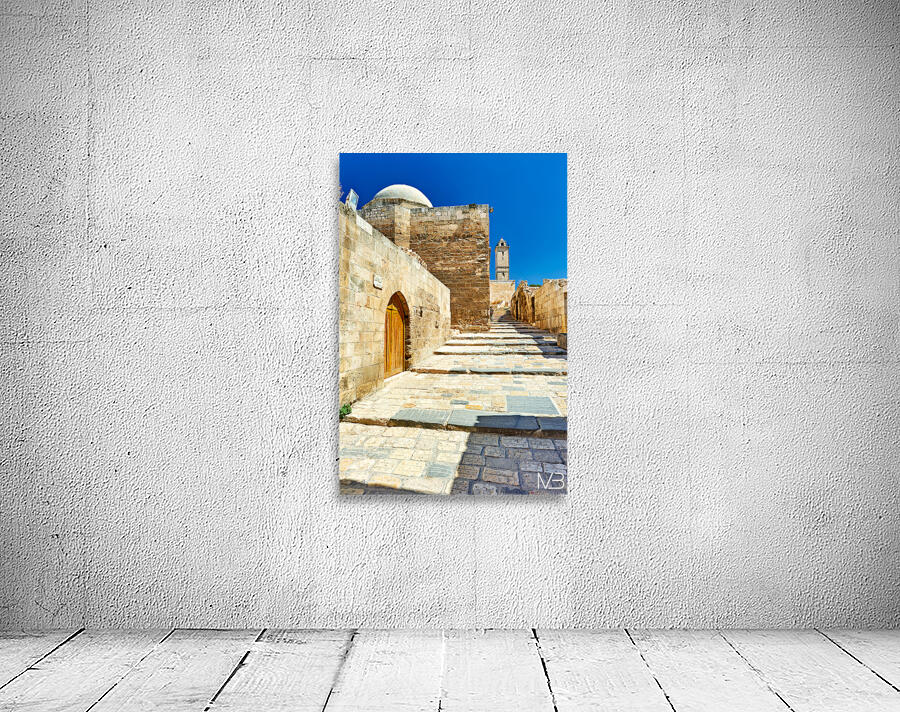 Explore the ancient paths leading up to Aleppo Citadel in Syria Wall Preview