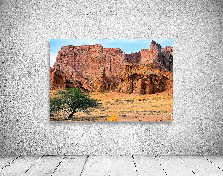 Eroded red rock formations in Quebrada de las Conchas near Cafay Wall Preview