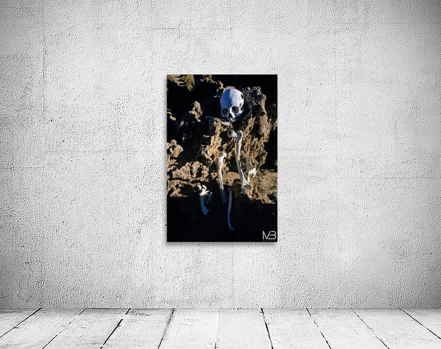 Human skeleton partially buried in rocky terrain. Wall Preview