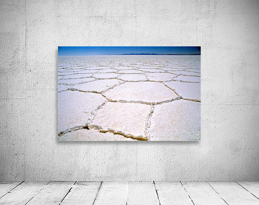 Expansive white salt flat with geometric patterns. Wall Preview