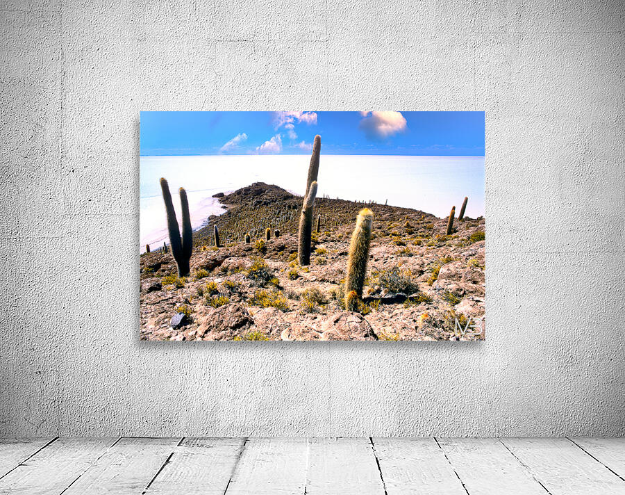 Cactus island in a vast white salt flat under blue sky. Wall Preview