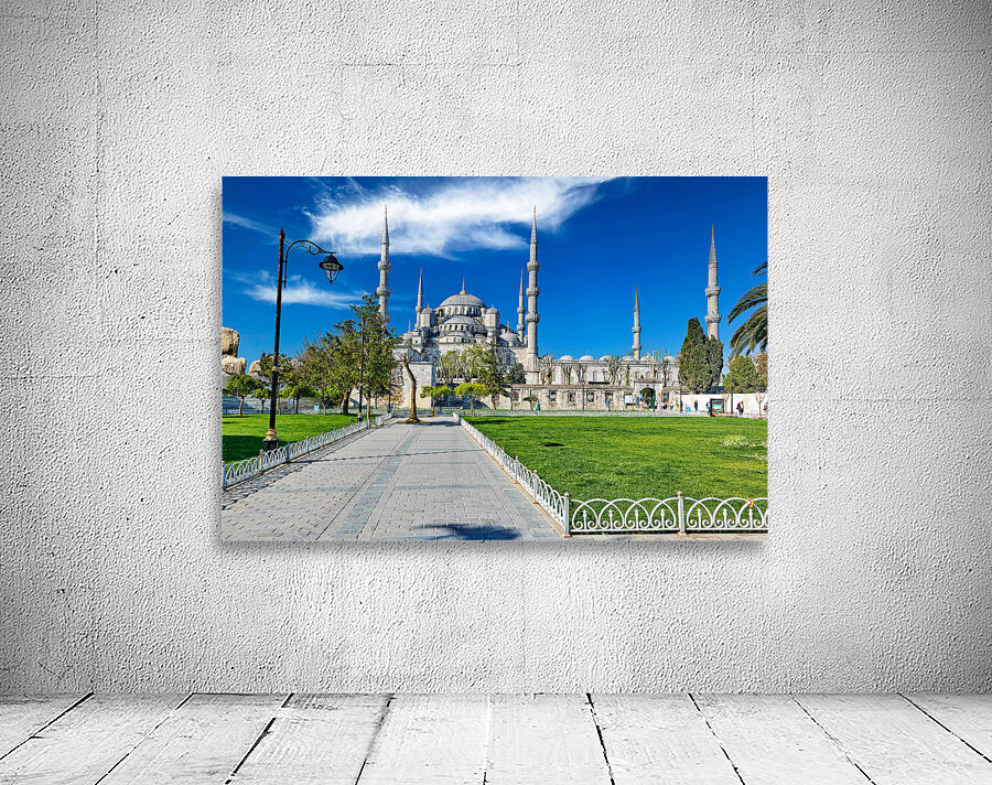 Visit Blue Mosque in Istanbul Turkey with clear sky Wall Preview