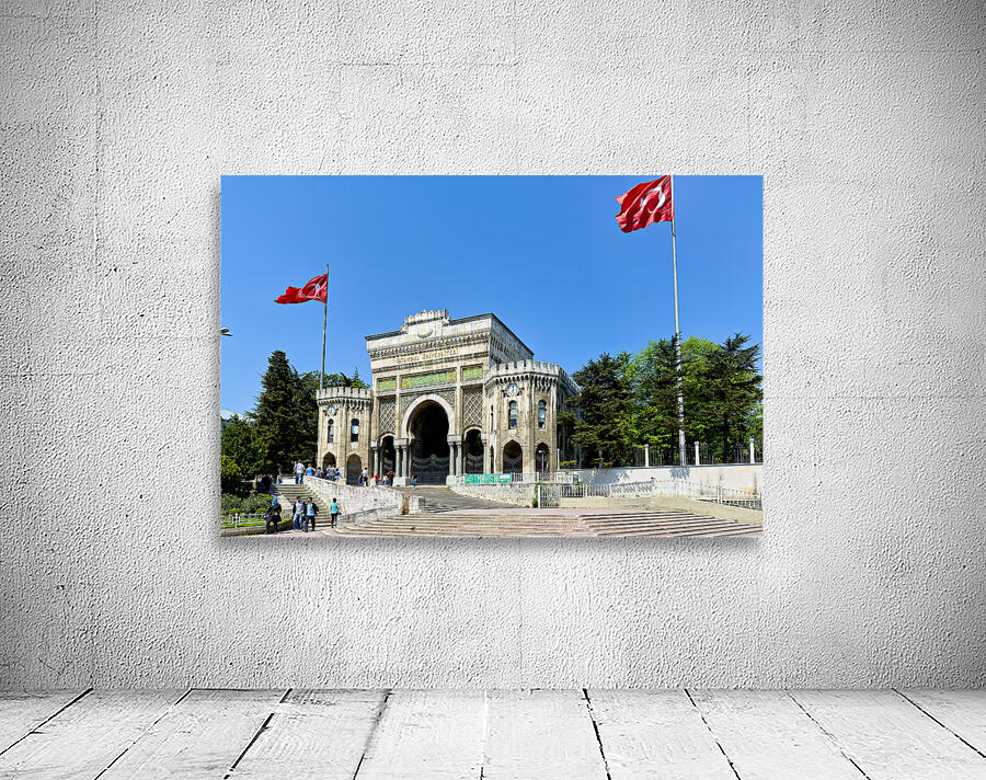 Historic university building in Istanbul Turkey with flags Wall Preview
