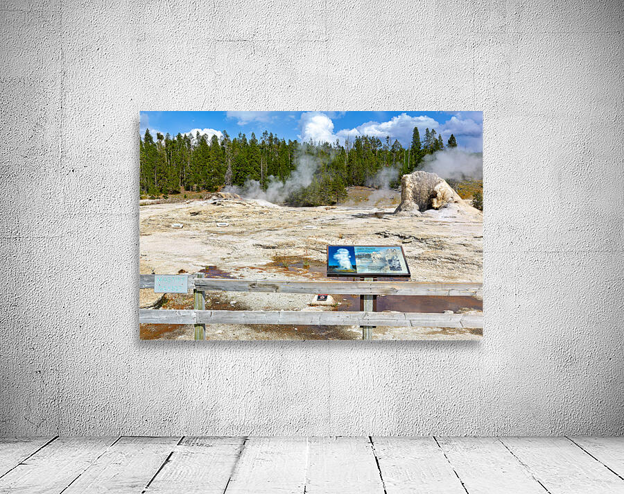 Giant Geyser erupts in Yellowstone National Park during daytime Wall Preview