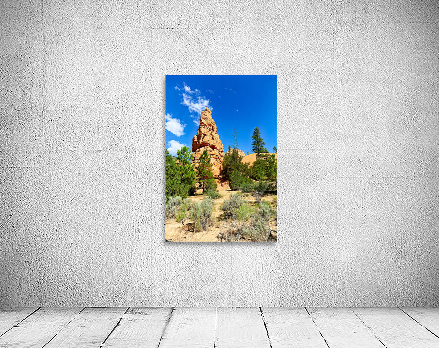 Visit to Dixie National Forest during a sunny afternoon Wall Preview