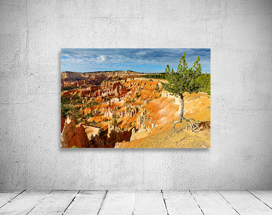 Sunrise at Bryce Canyon National Park near Sunrise Point Wall Preview