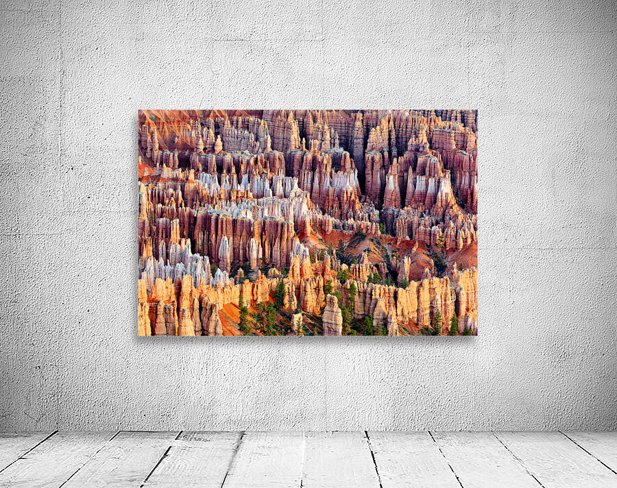 Views from bryce point in bryce canyon national park Wall Preview