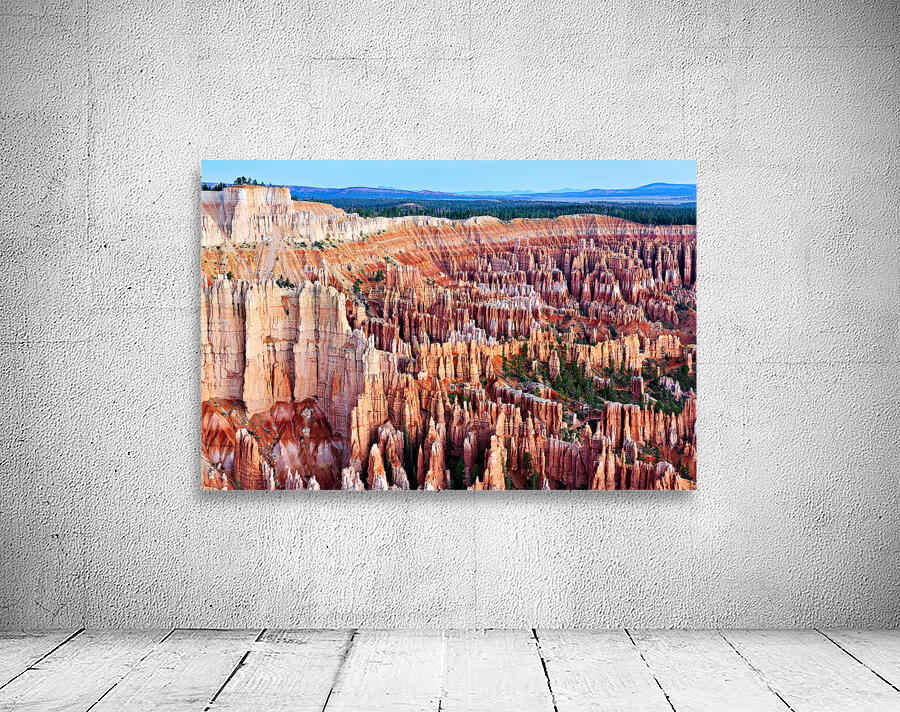 View from bryce point in bryce canyon national park Wall Preview
