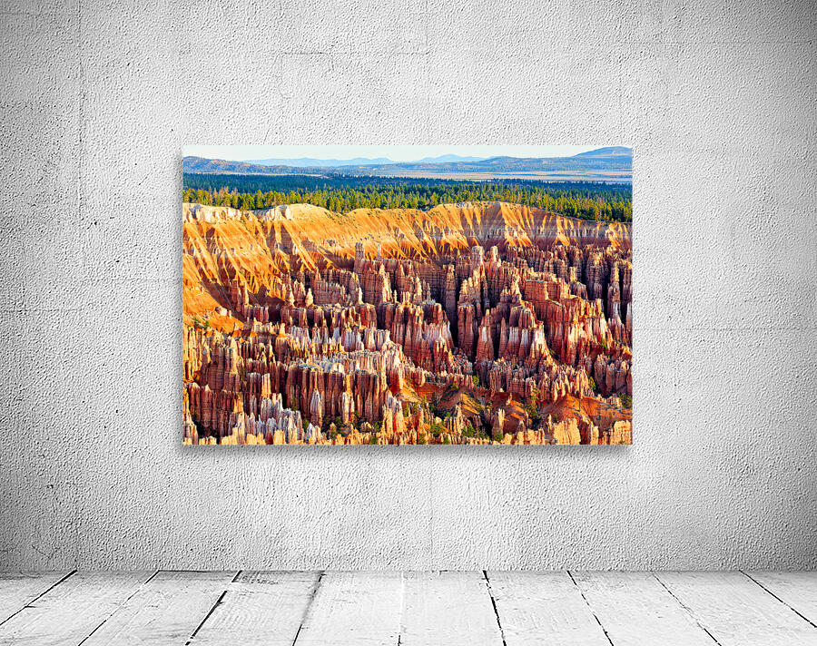 Views of bryce point at bryce canyon national park Wall Preview