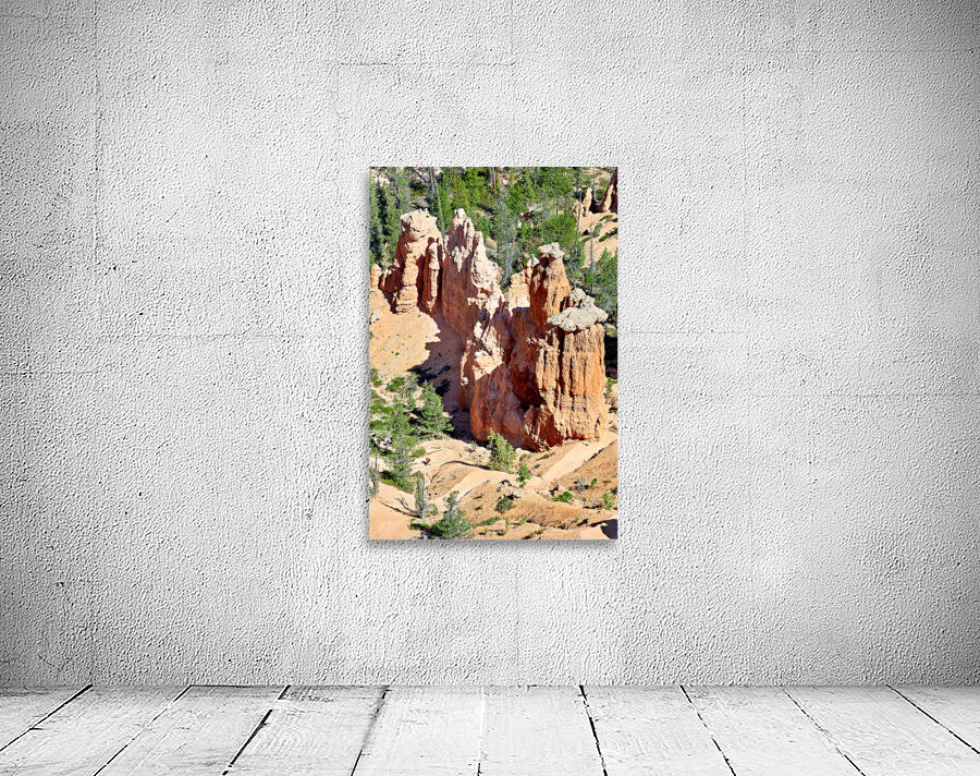 Bryce Point offers views of canyon rock formations Wall Preview