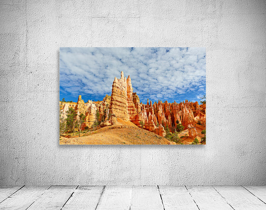 NP USA 00669 Wall Preview