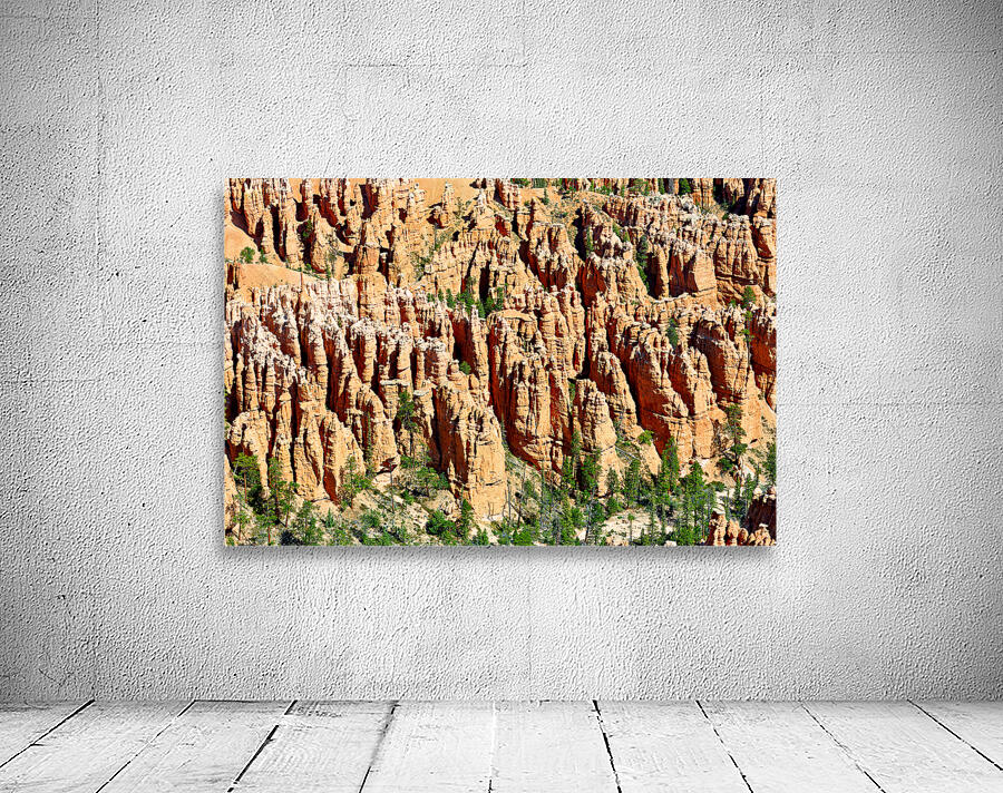 Views of bryce canyon from bryce point in national park usa Wall Preview