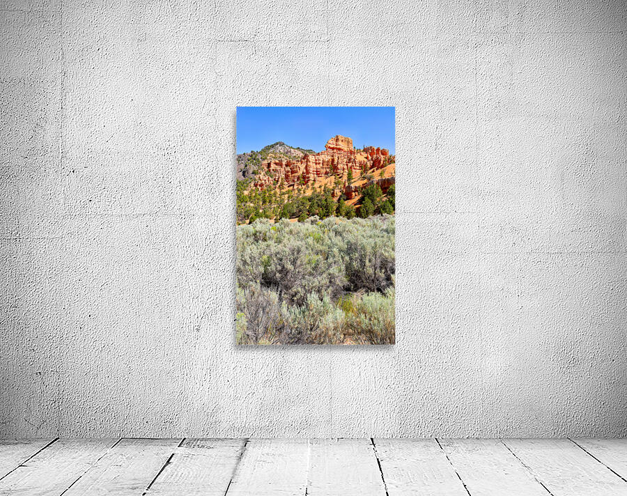 Visit Dixie National Forest in Utah with red rock formations Wall Preview