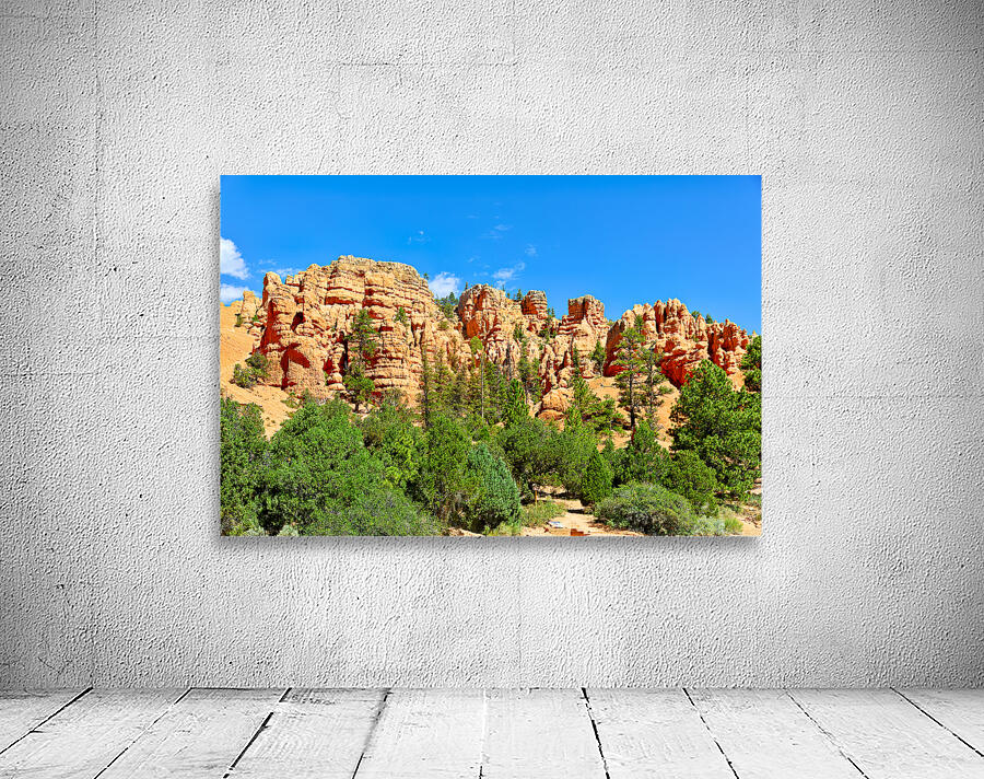 Scenes from Dixie National Forest in Utah during daytime Wall Preview