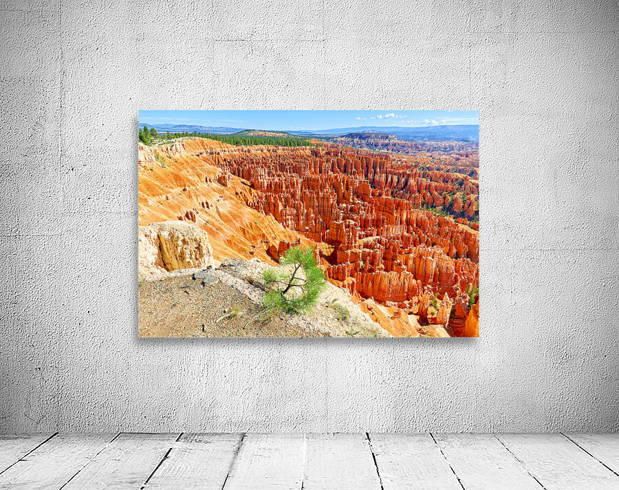 View from inspiration point at bryce canyon national park Wall Preview