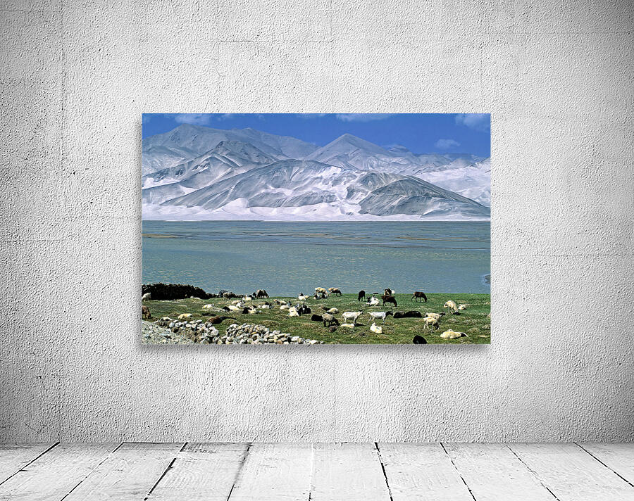 Mountains and livestock in Uzbekistan landscape Wall Preview