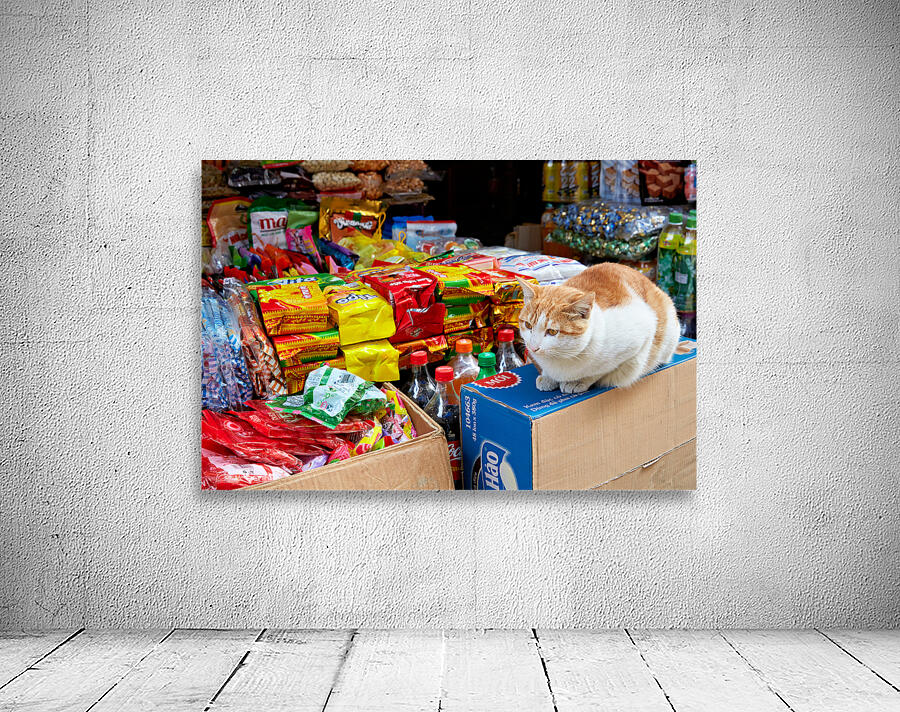 Cat sitting on boxes in Hanoi market during daytime Wall Preview