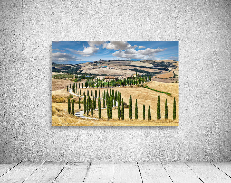 Cypress trees line winding road in Val dOrcia Tuscany Wall Preview