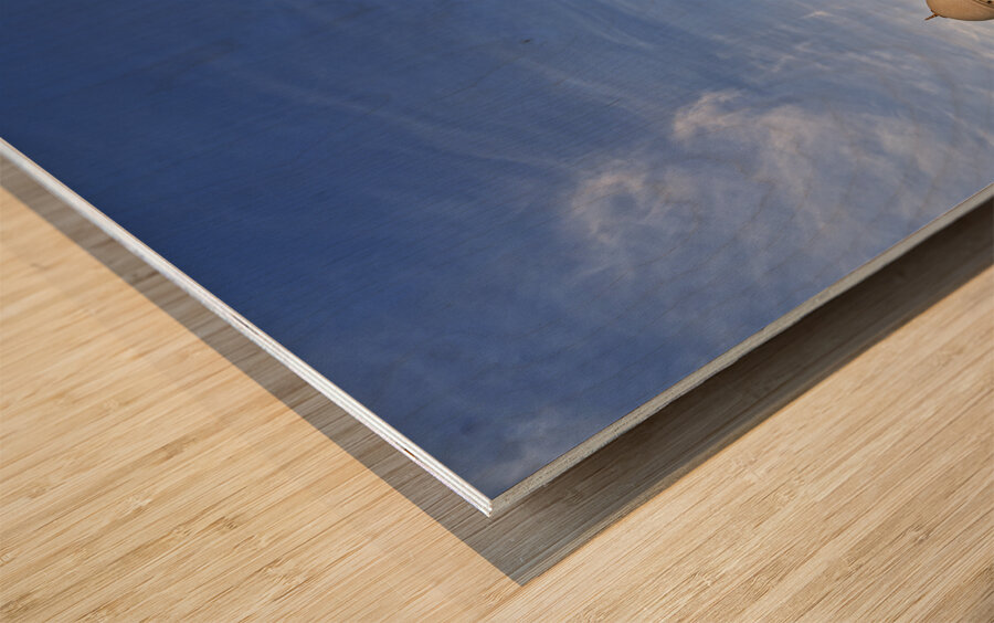 ABU DHABI. Sheikh Zayed Grand Mosque Wood print