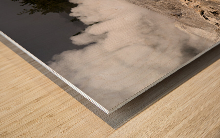 Rotorua. New Zealand. Whakarewarewa the living Maori Village. Hot springs Wood print