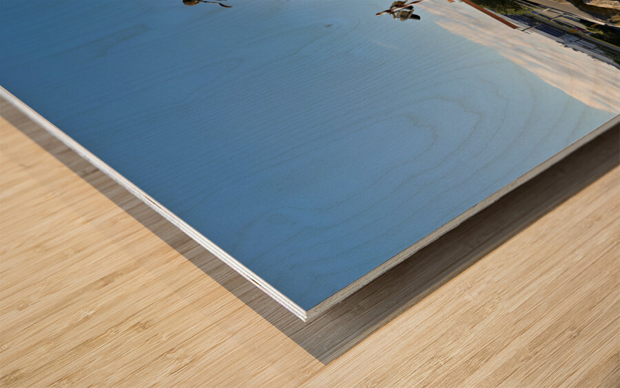 Oamaru New Zealand. Steampunk HQ Art gallery. The Steampunk Engine Wood print