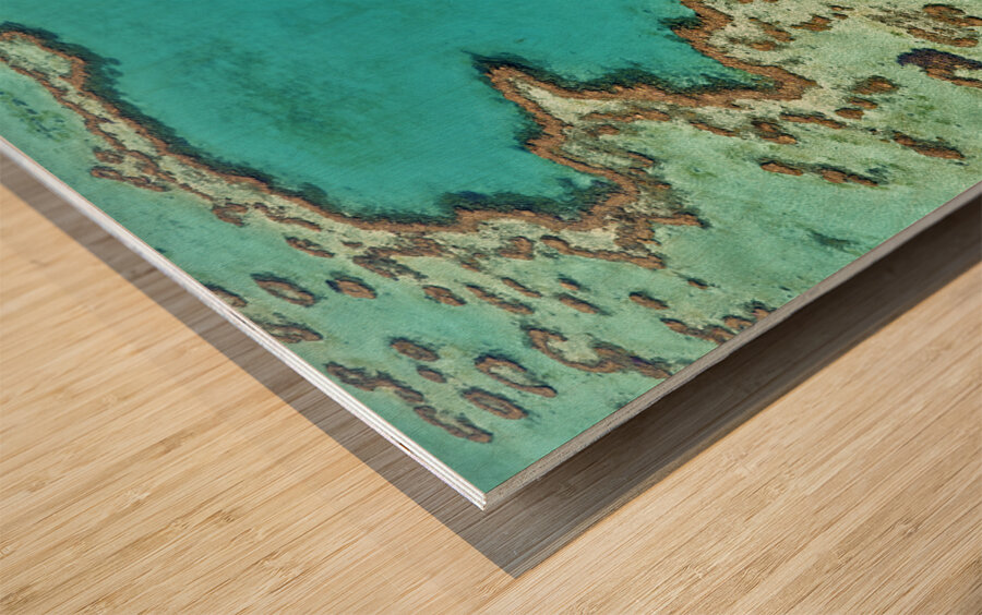 Heart Reef. Hardy reef. Great Barrier Reef. Queensland. Australia Wood print