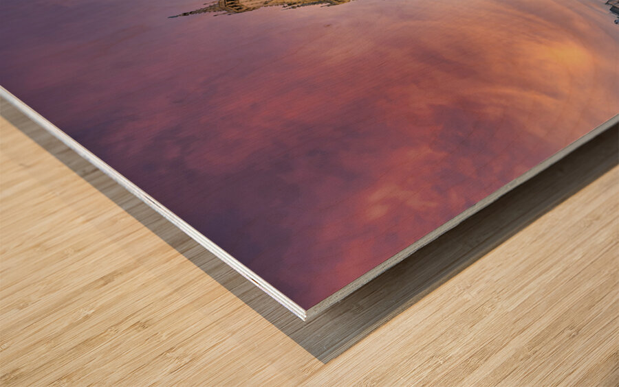 Vienna Austria.St. Stephens Cathedral Wood print