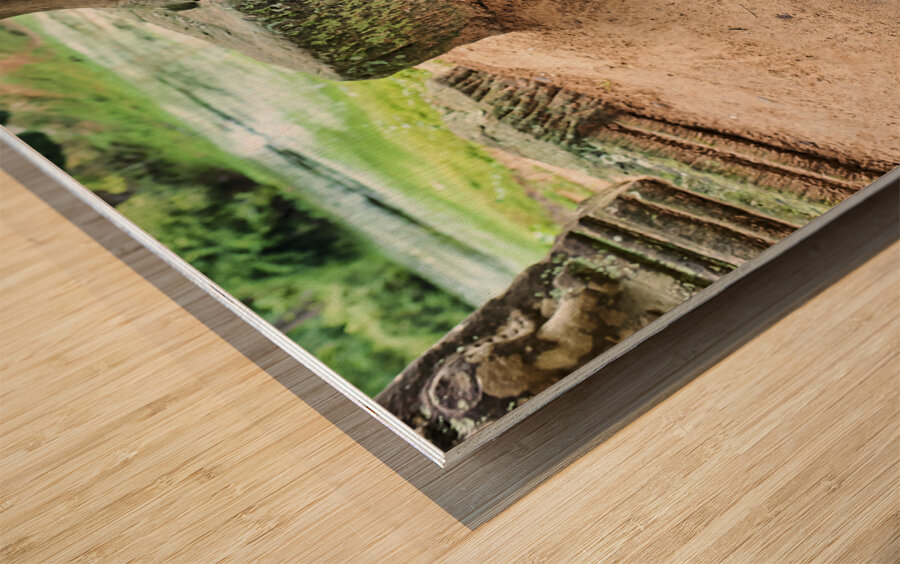 Portrait of a cute child at Preah Khan Temple. Siem Reap. Cambodia Wood print