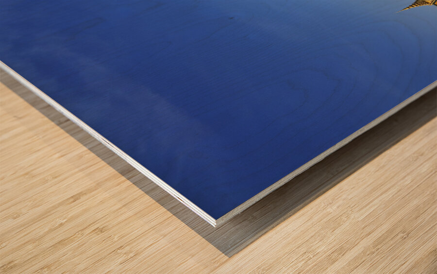 The Throne Hall at the Royal Palace Phnom Penh Cambodia Wood print