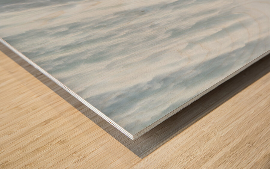 Canada. Niagara Falls Wood print