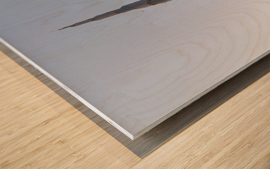 Dubai. UAE. Burj Khalifa. A veiled woman on a bench Wood print