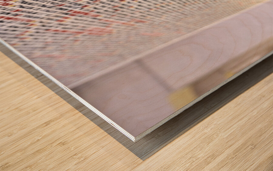 Czech Republic. Prague. The names of the victims of the Holocaust Shoah written on the walls of the Pinkas Synagogue Wood print